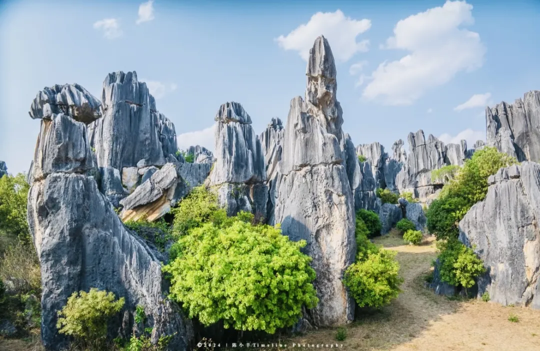 391aa54767957be279f7c58fed4a4eda-sz_405304 391aa54767957be279f7c58fed4a4eda-sz_405304