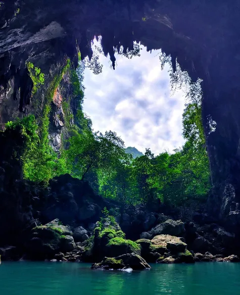 397809be557f28c26946c60a1a6bc78f-sz_574484 397809be557f28c26946c60a1a6bc78f-sz_574484