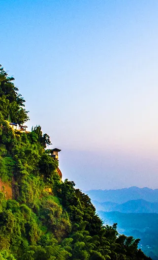 3984906ca334cc98e23162259a253195-sz_195727-2