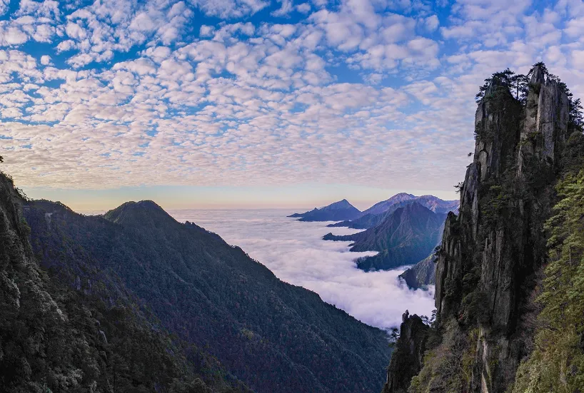 399e0eb271cb28fd849e8d8cb153723e-sz_1181109-1