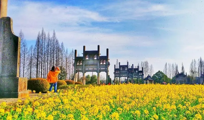 39db372ecd4038907811387df0e8c29c-sz_172322 39db372ecd4038907811387df0e8c29c-sz_172322