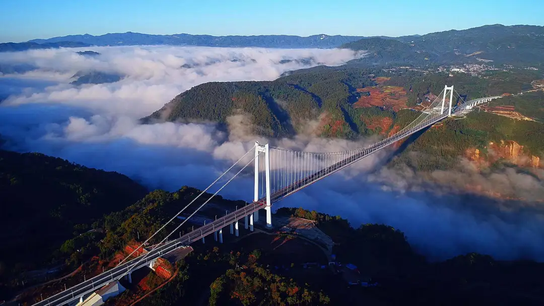 39e559ab19df5fdd600588bf818c3a7b-sz_455197 39e559ab19df5fdd600588bf818c3a7b-sz_455197