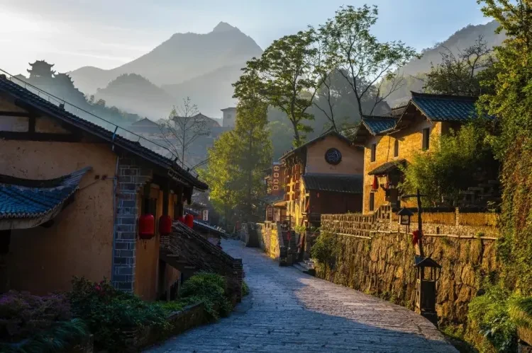 3a18c71142d6fffdabef8eba9e3c0b5d-sz_183444 3a18c71142d6fffdabef8eba9e3c0b5d-sz_183444