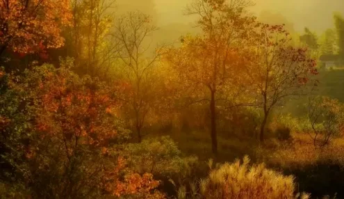 3a55f9477843e3ae96819d78e4afa493-sz_362070 3a55f9477843e3ae96819d78e4afa493-sz_362070