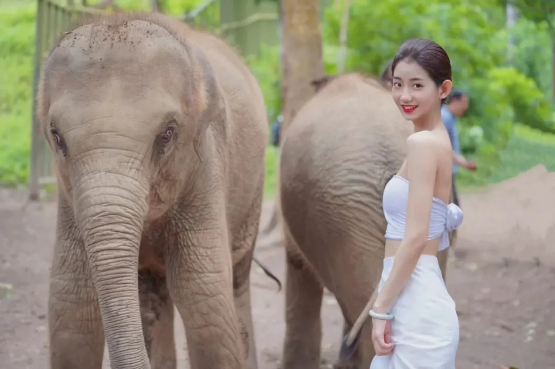 😘纯玩【遇鉴特惠版纳】直飞版纳2飞5日游 ✅直飞版纳 超高性价比 ✅4晚连住版纳不挪窝 ✅免除来回搬运行李烦恼