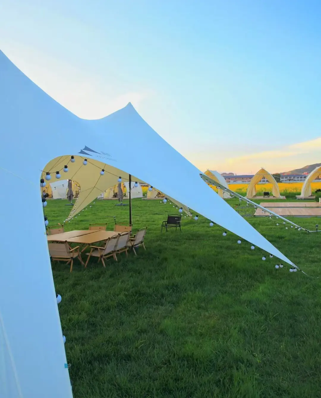 3b7503533f892e03a47c466331a14208-sz_200341