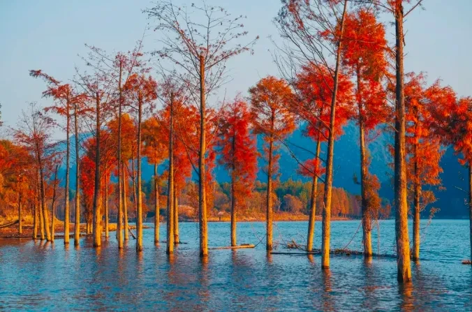 3b76de6cabcde377a8bac948d706c422-sz_746411 3b76de6cabcde377a8bac948d706c422-sz_746411