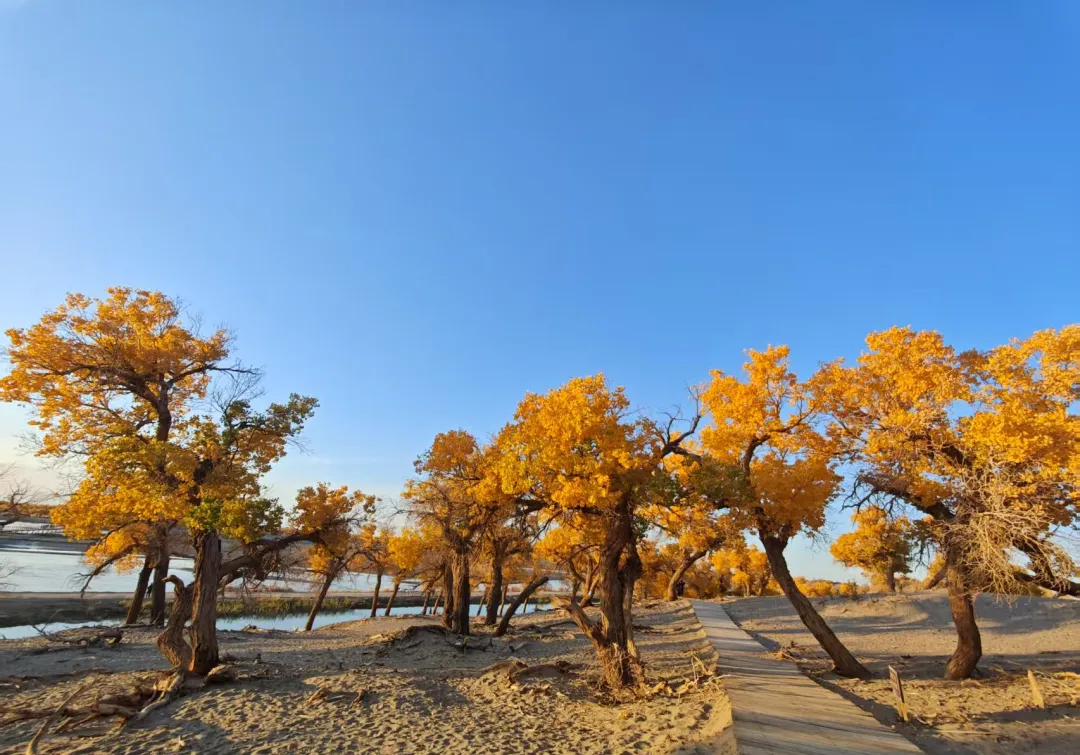 3b7c20bc807b50366a8855d43d25f6b0-sz_433819