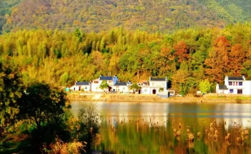 3bd1a999e237bec29cc9d60b38a5c79b-sz_429841 3bd1a999e237bec29cc9d60b38a5c79b-sz_429841