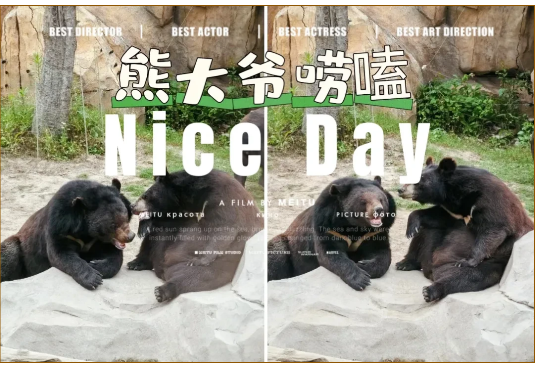 3c5ca57578e605f02f8ba03bf2100058 3c5ca57578e605f02f8ba03bf2100058