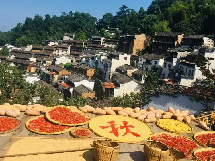 3cc10ab73465665e637745b0a83b92b3-sz_255673-1