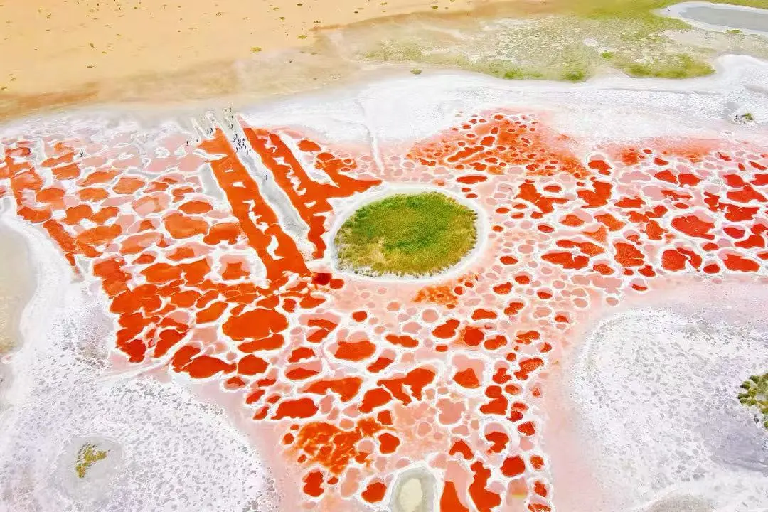 3cfb77107bb27bbb1a241c23df536c28-sz_162316 3cfb77107bb27bbb1a241c23df536c28-sz_162316