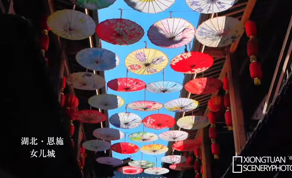 3d3e321d3edad8fe88f267836175d069-sz_79782