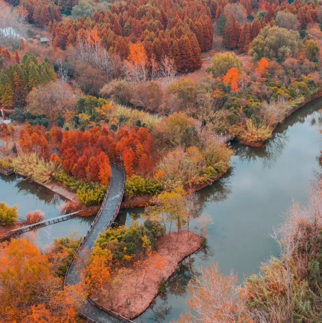 3df6407f5c9e57fe80d6e36db205ef74-sz_2130500