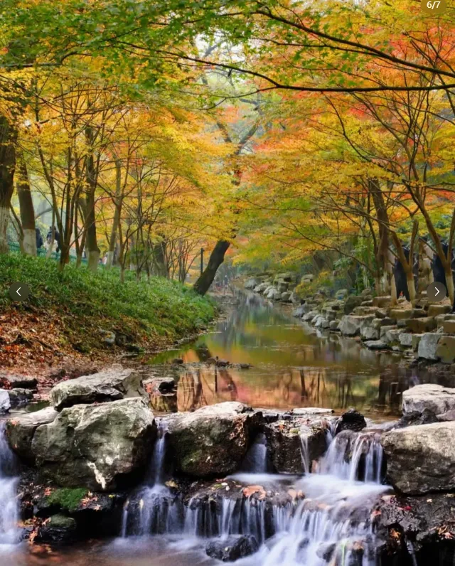 3dfb8c455dc8745200bae599a090910a-sz_1162748-1