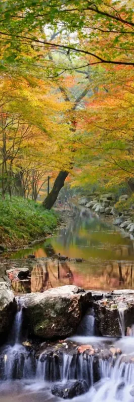 3dfb8c455dc8745200bae599a090910a-sz_1162748-2