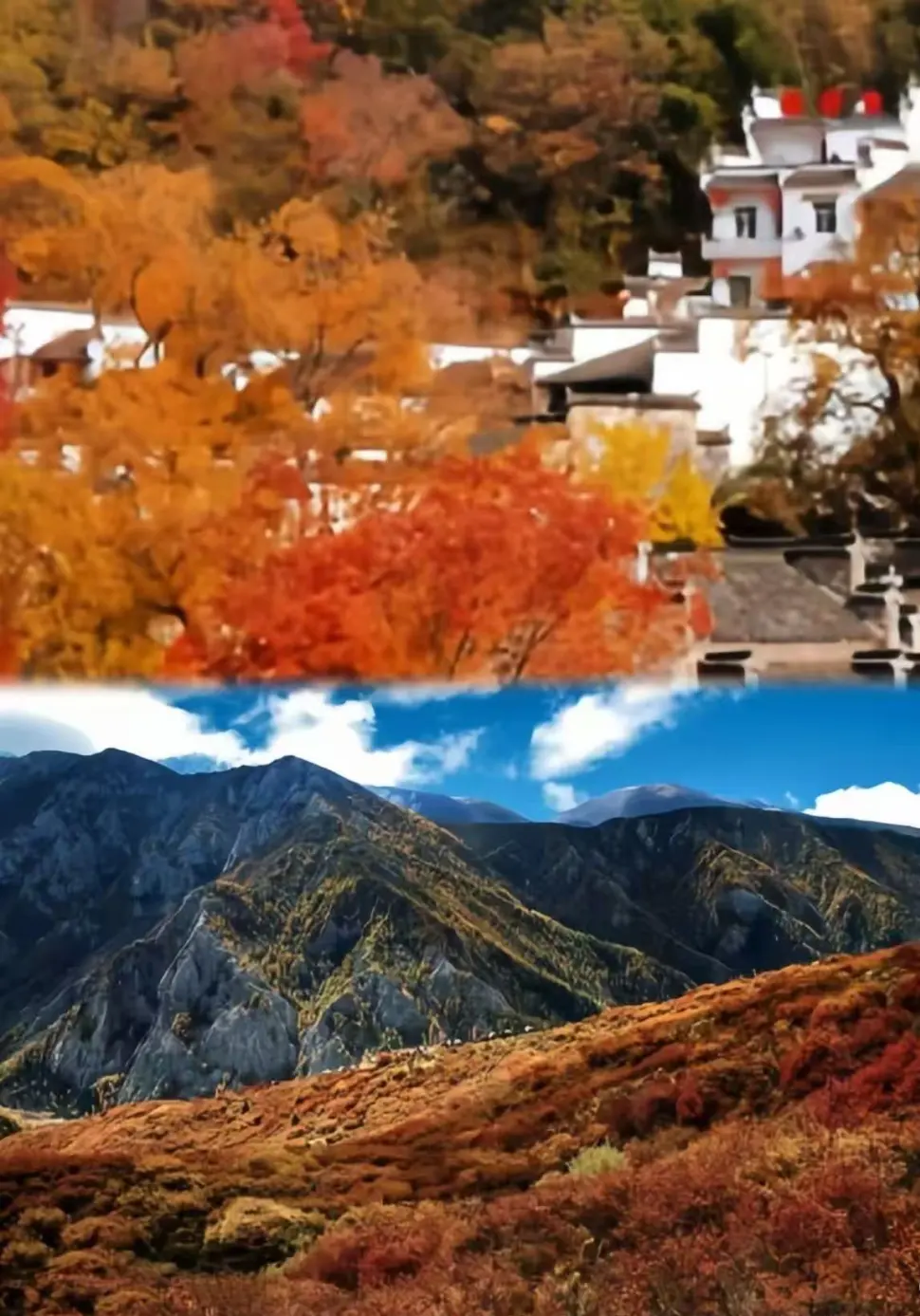 3e012f21e0a0961f0ba28e18e86bc01b-sz_238132