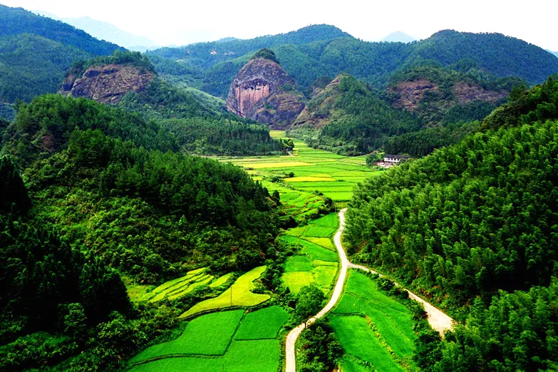 3e1b76b07c0a22b42f33d50d9ed818f4-sz_273419