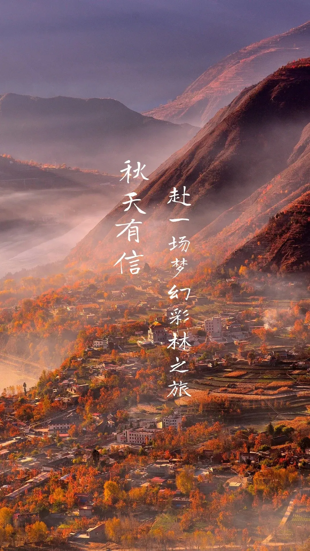 3e1e468b171313942fede81148bc3b9f-sz_777248 3e1e468b171313942fede81148bc3b9f-sz_777248