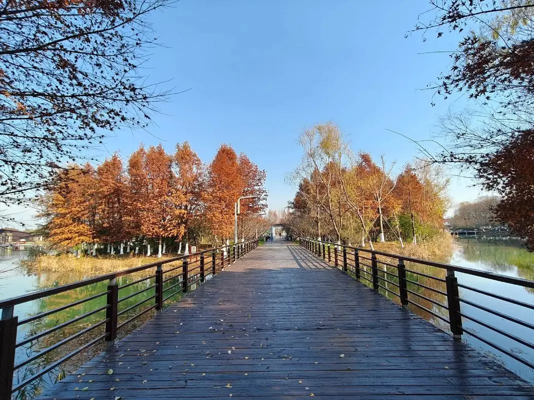 3e25b6412600c3cce206acc638901f8b-sz_226426 3e25b6412600c3cce206acc638901f8b-sz_226426