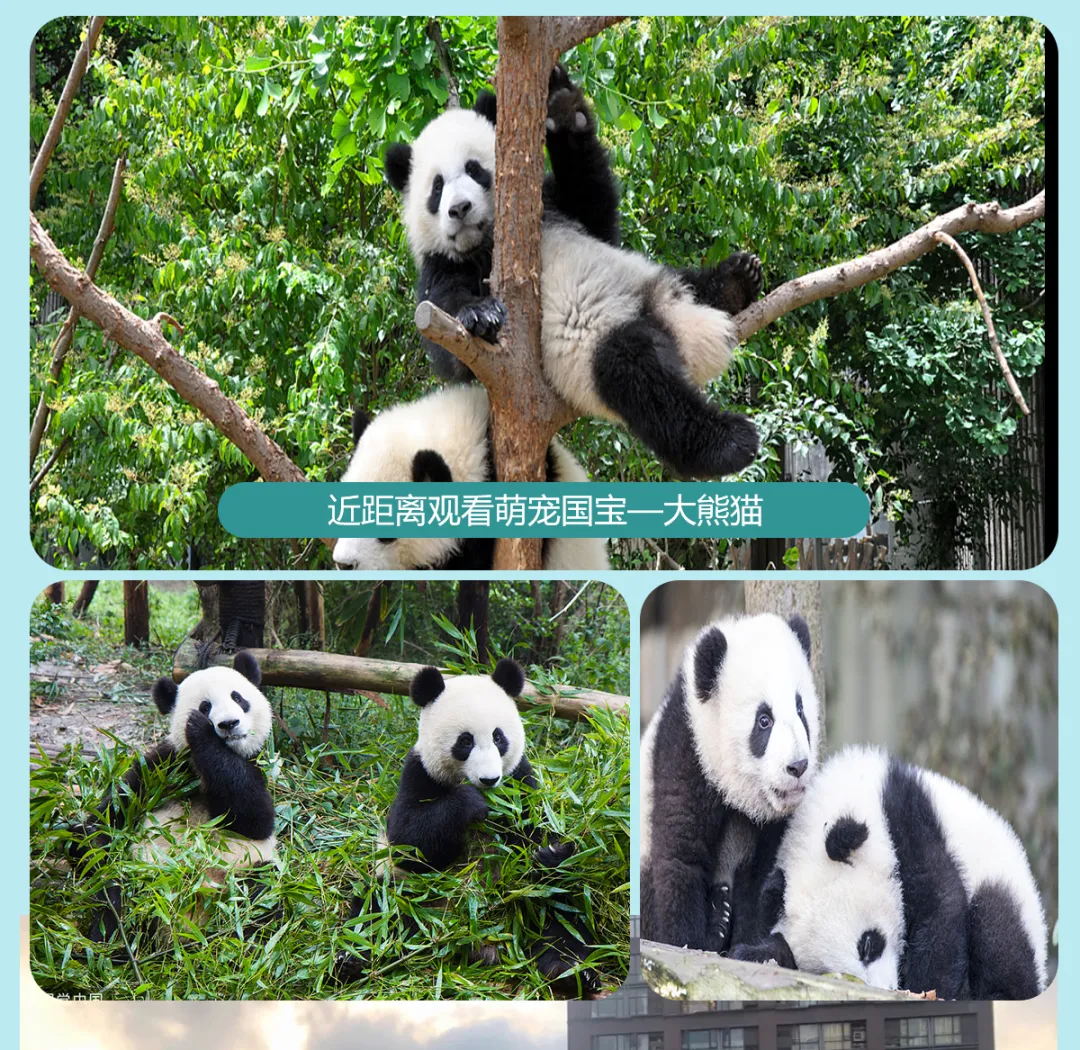 3e7c4fd547a3878aa7f28900fdc751f5-sz_3118104-2 3e7c4fd547a3878aa7f28900fdc751f5-sz_3118104-2