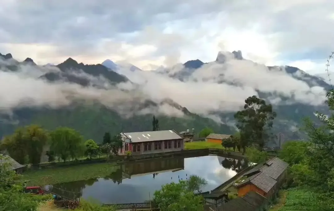 3e8185fee2b6c92f62a71aad5f197477-sz_79337 3e8185fee2b6c92f62a71aad5f197477-sz_79337