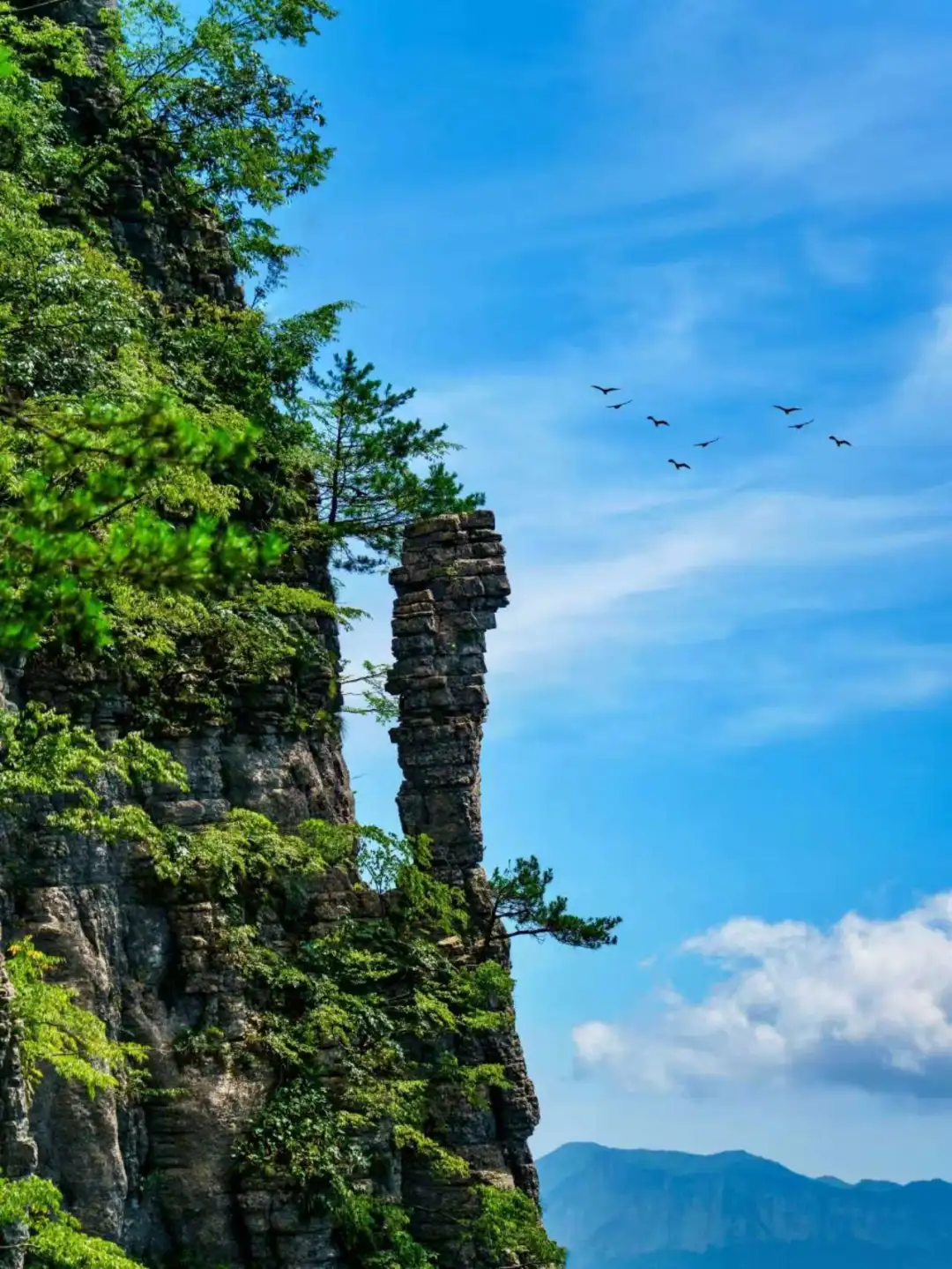 3eb7d53eb7946021bbf66ba392bf9c19-sz_236722-2 3eb7d53eb7946021bbf66ba392bf9c19-sz_236722-2