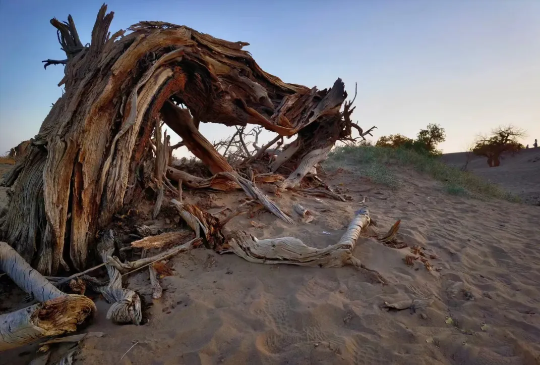 3ed58e9fb2e58af2b7410757bd15322e-sz_854996