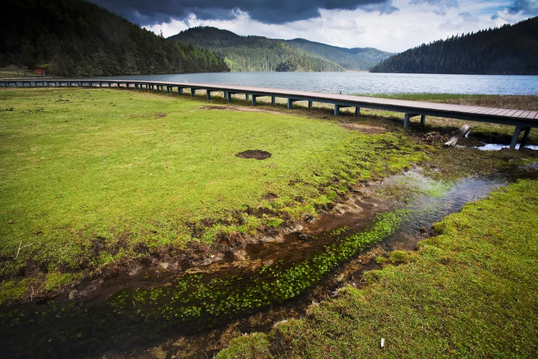 3ee74553ec1c5f1b6cd3ecbebe07901b-sz_5702209