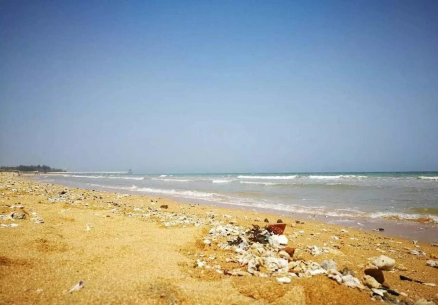 3ef798faadf51aa08c19d499c441fcbc