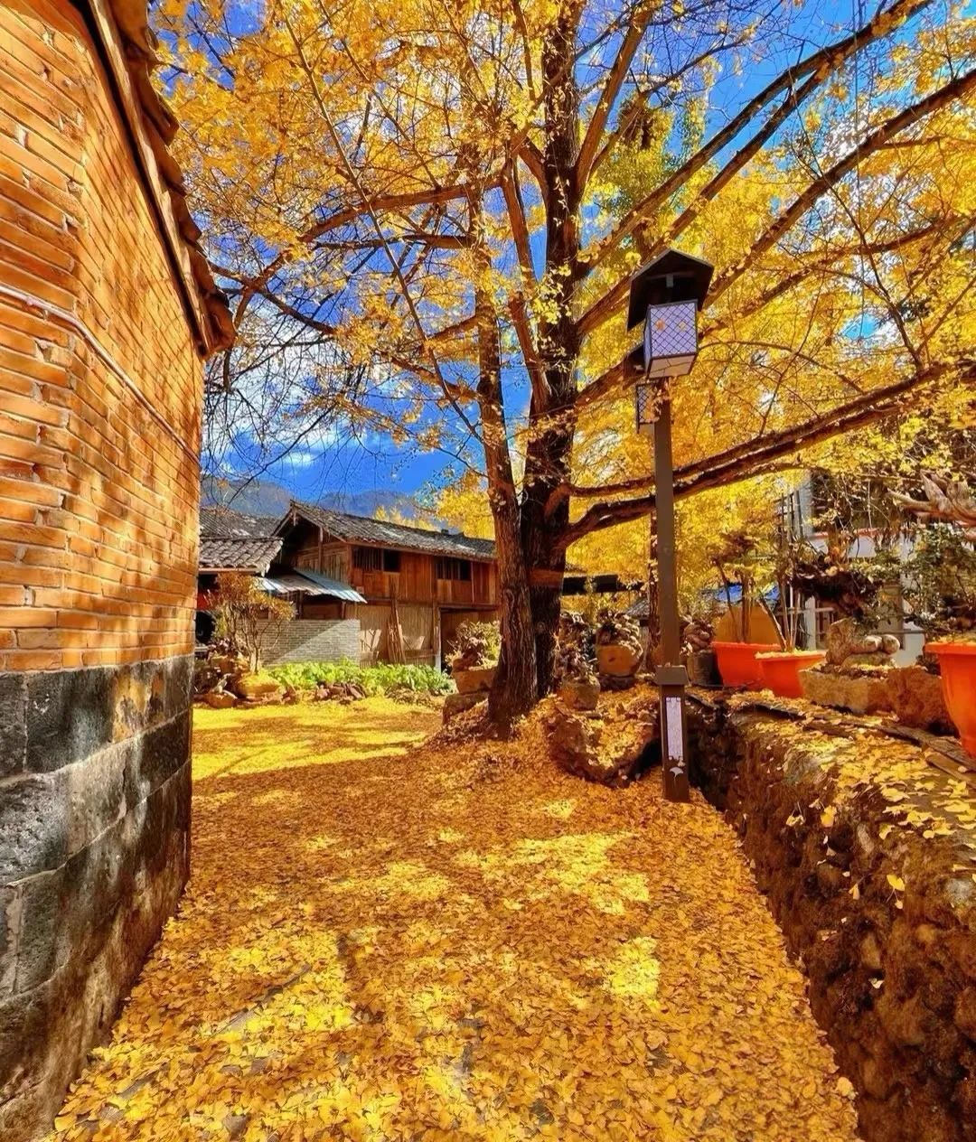 3f709937f485a79de075ef5eadcca2b5-sz_2125473-1 3f709937f485a79de075ef5eadcca2b5-sz_2125473-1