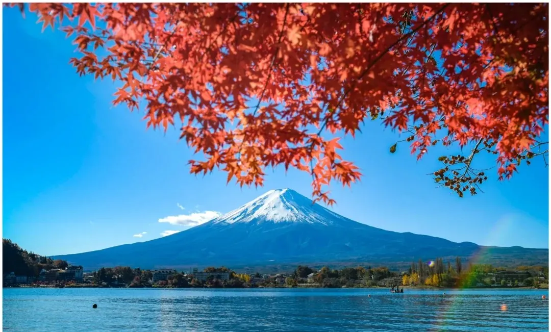 3fa62f765590fb7cde8fde34cdfccd6f-sz_467674