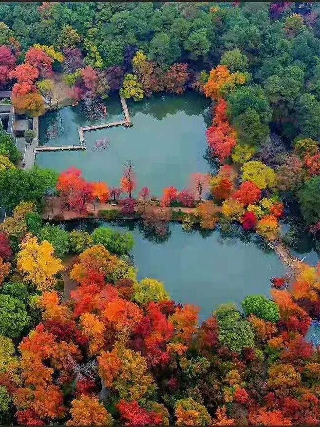 麓红霞缭绕、丹枫烂漫！苏州天平山赏三日游399❤升级特色蟹宴+自助餐❤橘园采摘+畅吃❤两晚连住准四酒店，免费棋牌！石湖画舫船、夜游南长街！