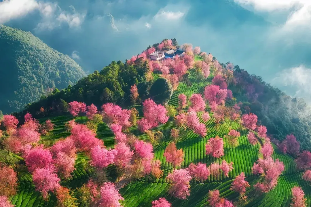 40041acb13d98c52fa9972c1c5f8cd77-sz_3310820