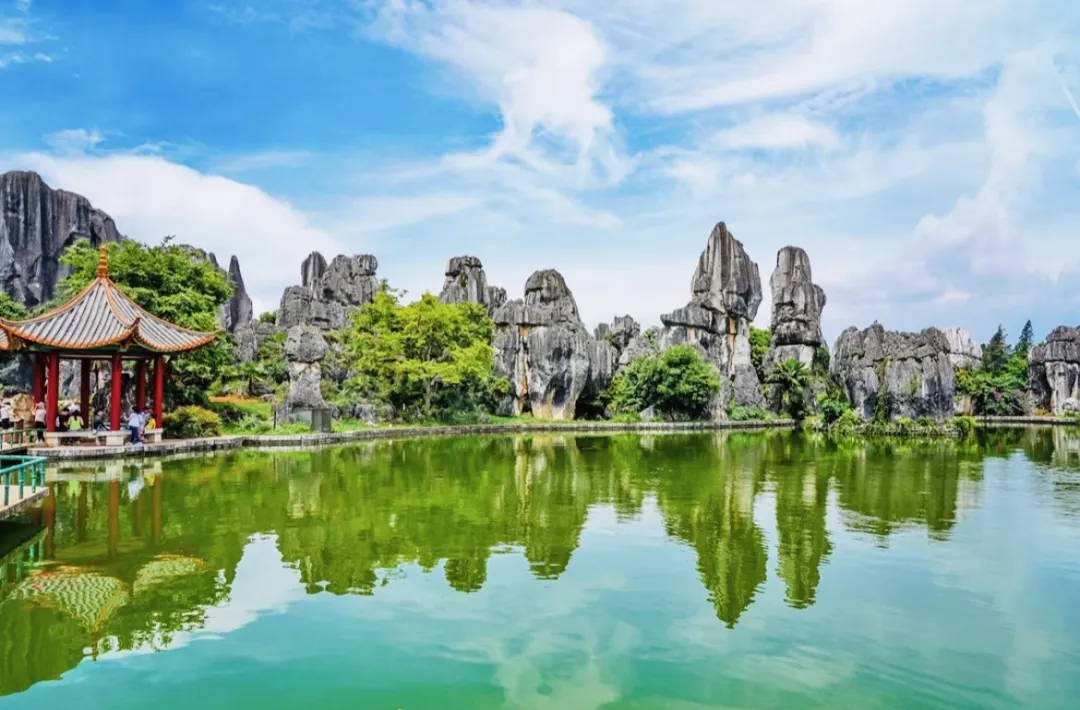 403b0cc5c635d7affd397ff8898a5328-sz_304404