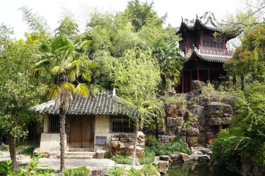 405c5711f55d424239f9b26bc325350d-sz_2065347 405c5711f55d424239f9b26bc325350d-sz_2065347