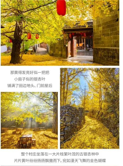 40e1bf868ea0929fff0892d3cf94784a-sz_96631-1