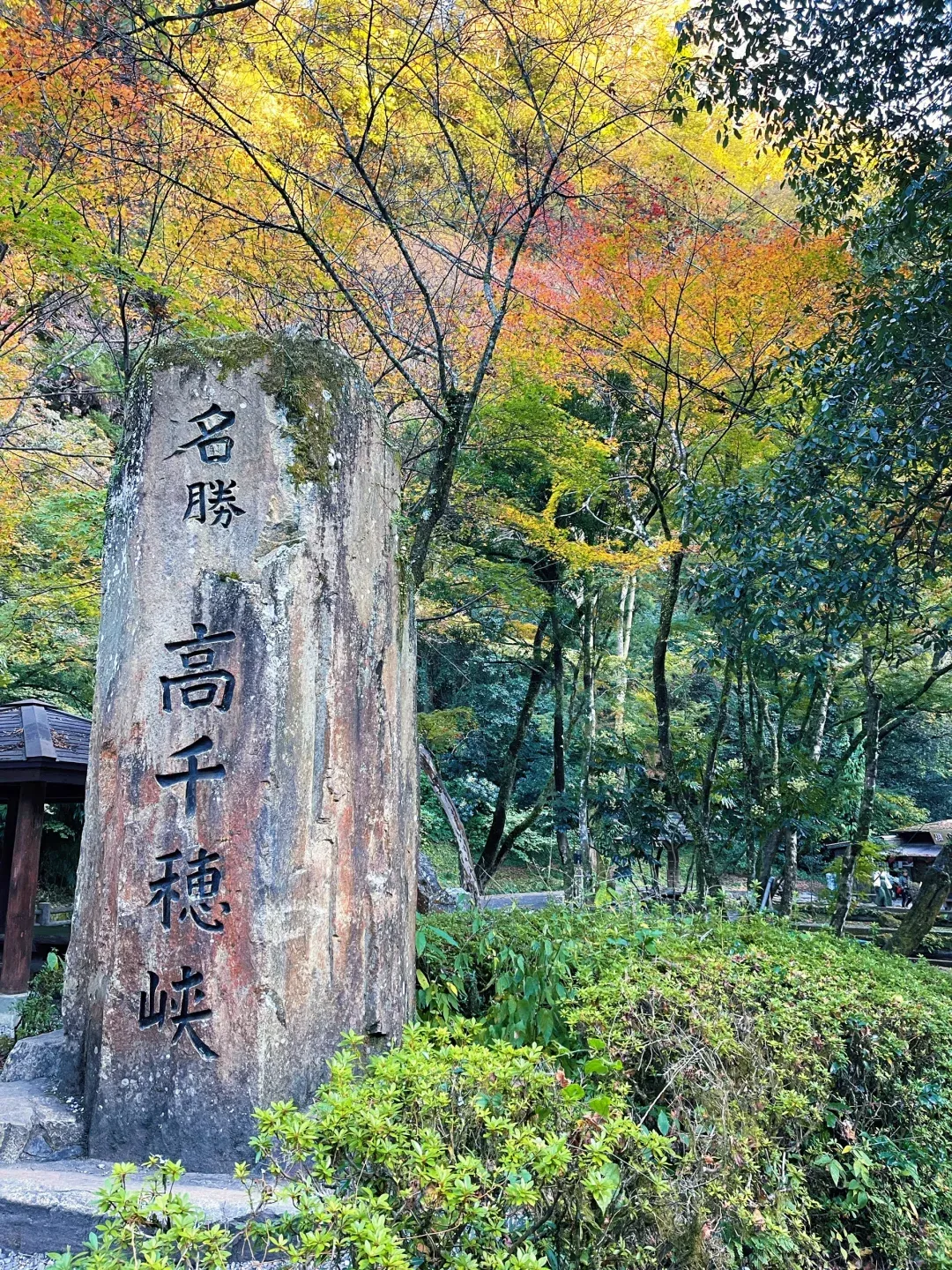 412991d2fccd9362bdd9472a8d55e335-sz_4604303 412991d2fccd9362bdd9472a8d55e335-sz_4604303