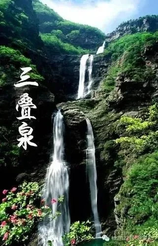 415da97360edb078a1d977d99a893b14-sz_49202