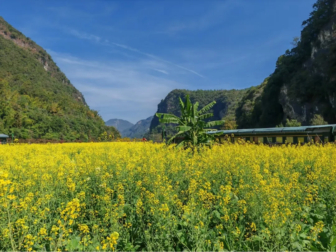 417bb15bf970db7774bad2b38447cb2e-sz_611442 417bb15bf970db7774bad2b38447cb2e-sz_611442