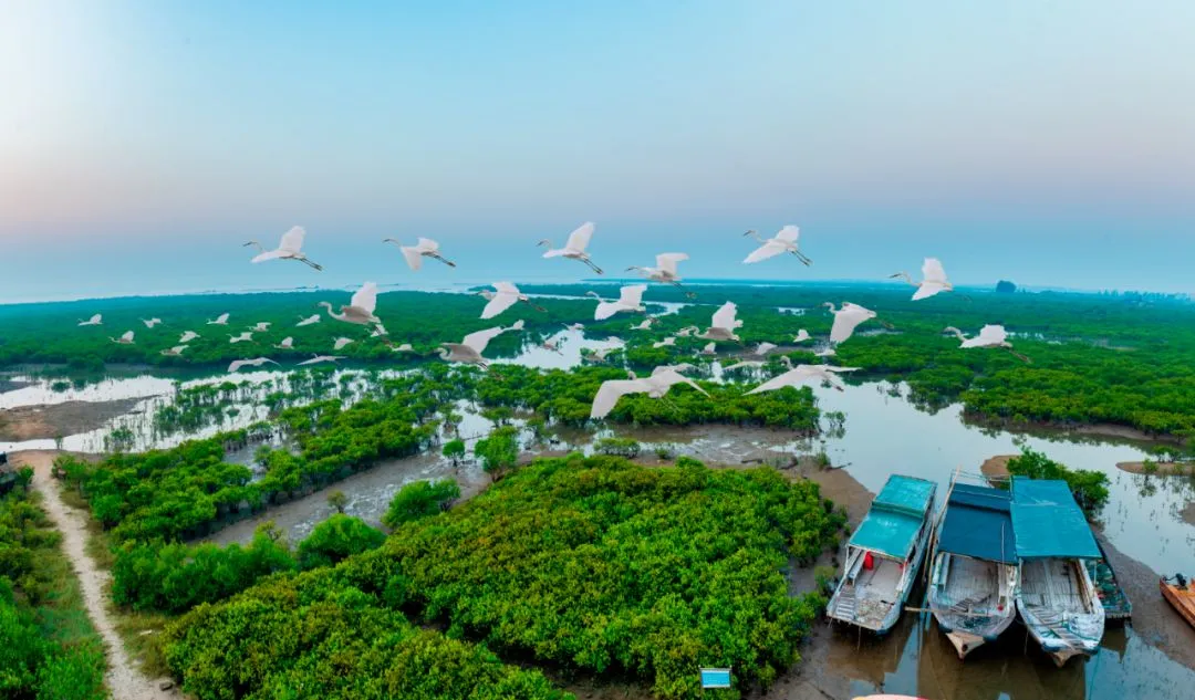 41c6c7fd68c0c101f01129f793eaf353-sz_121857 41c6c7fd68c0c101f01129f793eaf353-sz_121857