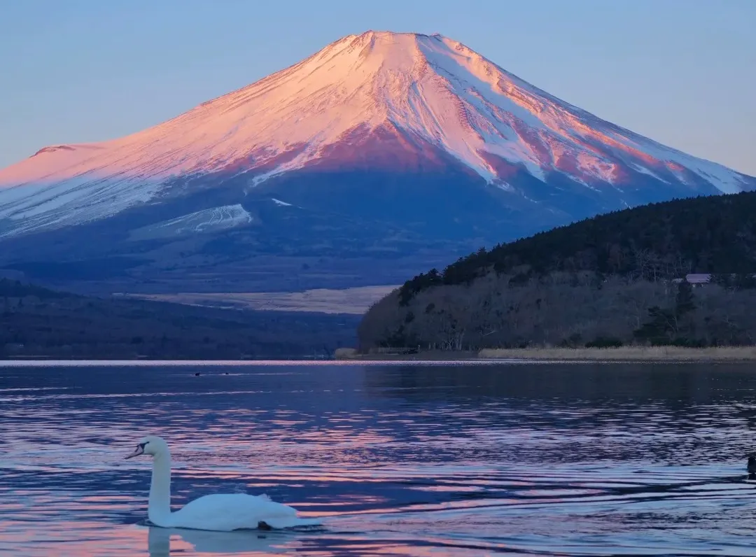 41ea153a1087e12f423506fec4d6432b-sz_252899 41ea153a1087e12f423506fec4d6432b-sz_252899