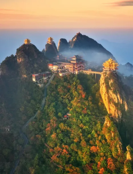 41ee6035a00ade286c0bc659aae93a3c-sz_207087 41ee6035a00ade286c0bc659aae93a3c-sz_207087