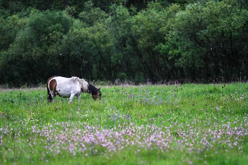 41f595ab187b950e2ef52dab6d0f2404-sz_155378 41f595ab187b950e2ef52dab6d0f2404-sz_155378