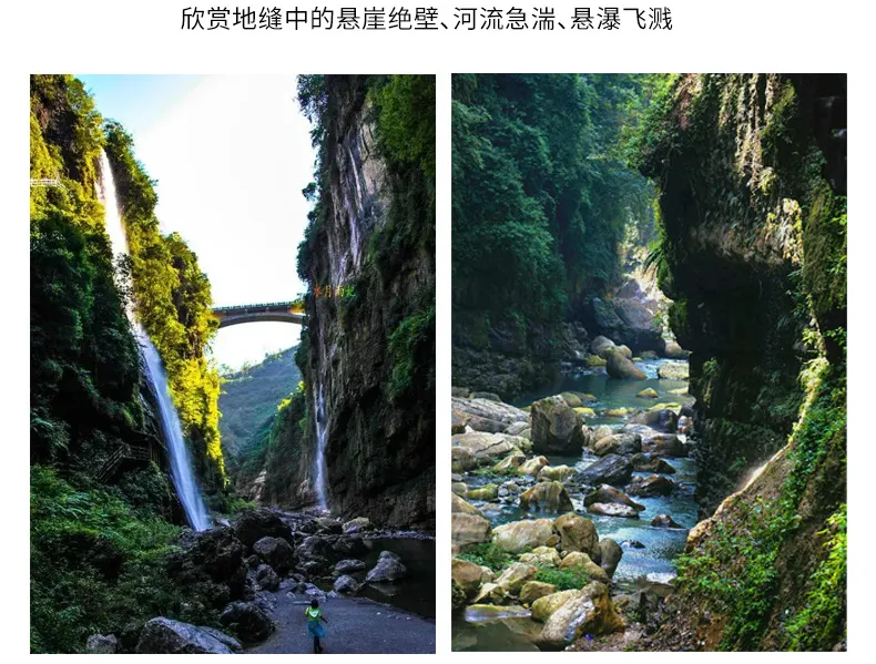 423709c92b3632c21b9dc6430d73018e-sz_296779