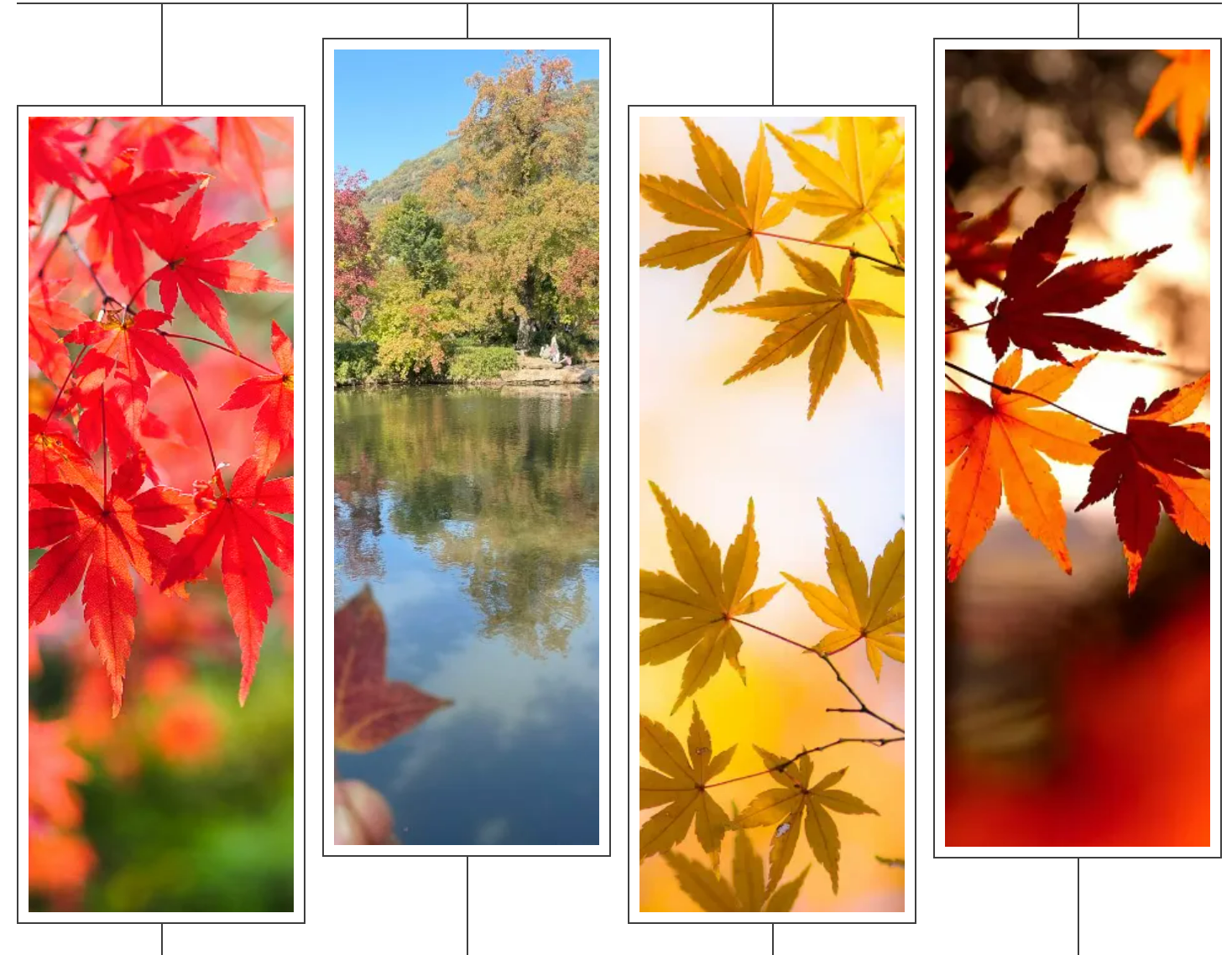 纯玩!☘️苏州“赏枫”99元一日游🍁天平山•枫情万种“醉”游人•错过这次等一年•打卡天平山+木渎古镇