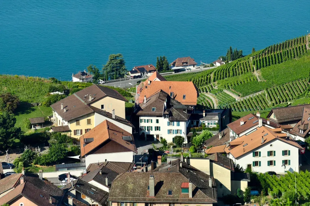 4245cca43533b959c376f9875a89f708-sz_2521536