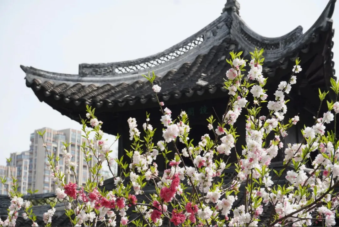 4252793b761f9ed18964f7258801da11-sz_1407533 4252793b761f9ed18964f7258801da11-sz_1407533