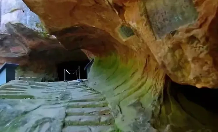 4259f7604eb9ca12bbcfbdbd8375b959-sz_66597 4259f7604eb9ca12bbcfbdbd8375b959-sz_66597