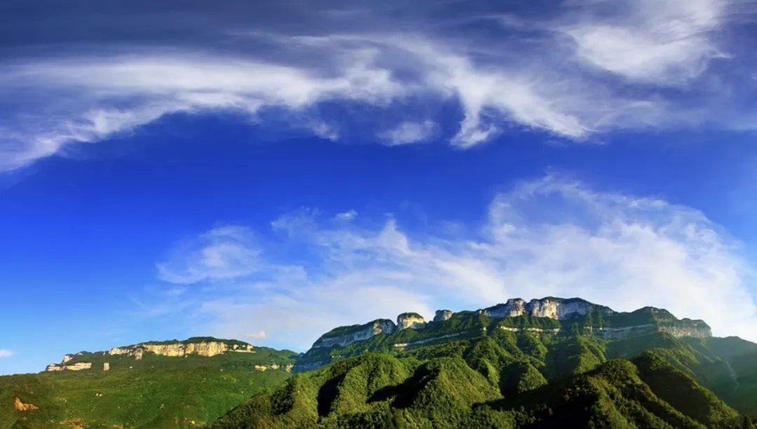 426a970e6177817f3e49f0e8cddb65c7-sz_1523375-1 426a970e6177817f3e49f0e8cddb65c7-sz_1523375-1